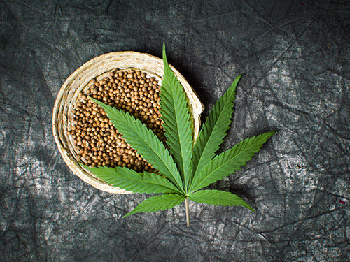 FULL SPECTRUM HEMP PRODUCTS