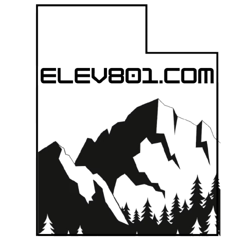 ELEV801